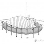danny-shanahan-a-cat-is-seen-sleeping-surrounded-by-mice-skulls-on-poles-new-yorker-cartoon