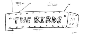 birds